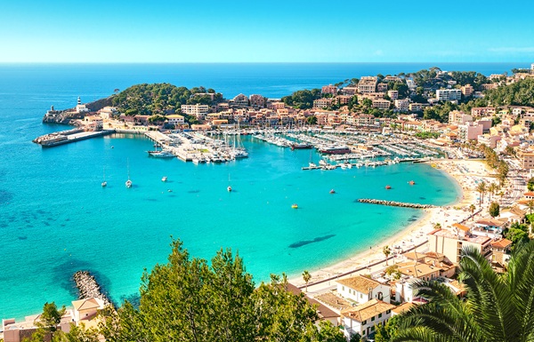 ������, '2025�� ���� ��ȥ���� �α� ���� �� 6' ����