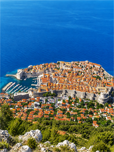 �κ�κ��ũ ���� ������ �����ٺ� �Ƶ帮����
