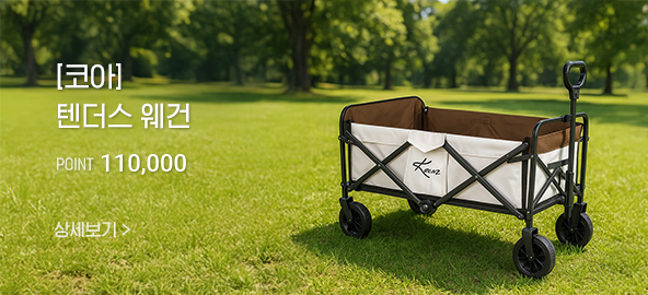 �ھ� �ٴ��� ���� 