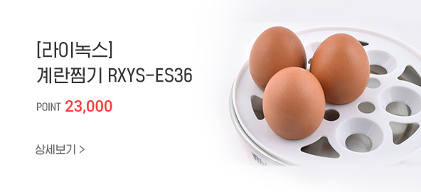 [���̳콺] ������ RXYS-ES36