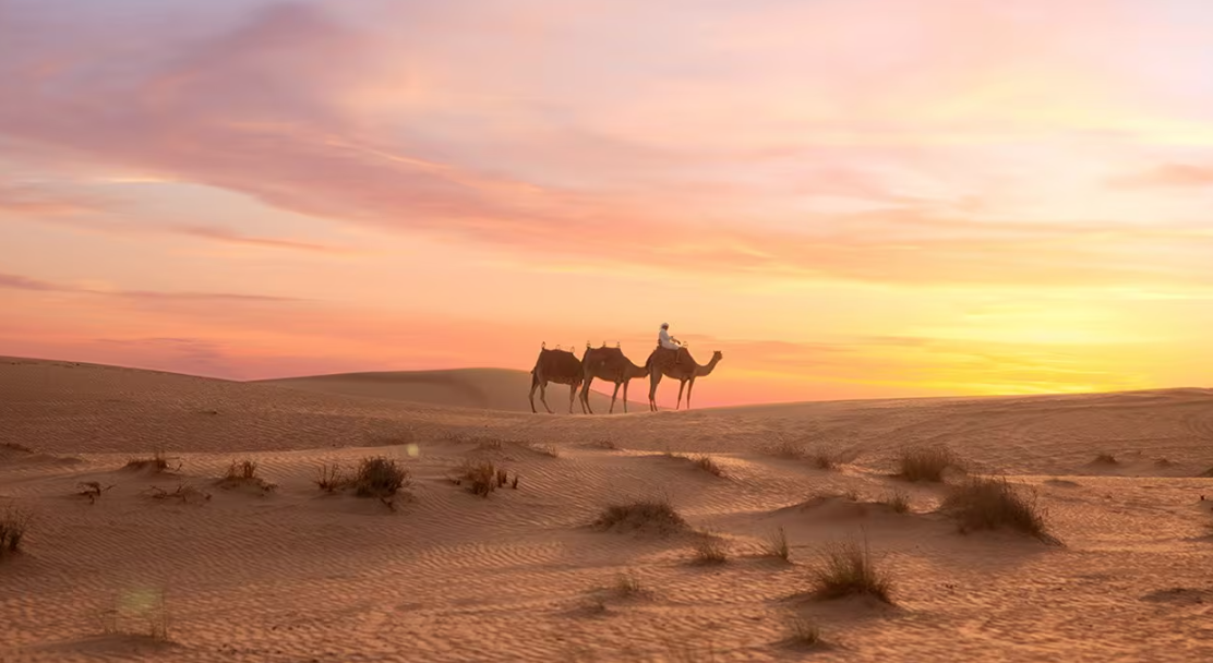 ī ܵ 縷 (ī + Ʈ̺꽺 )