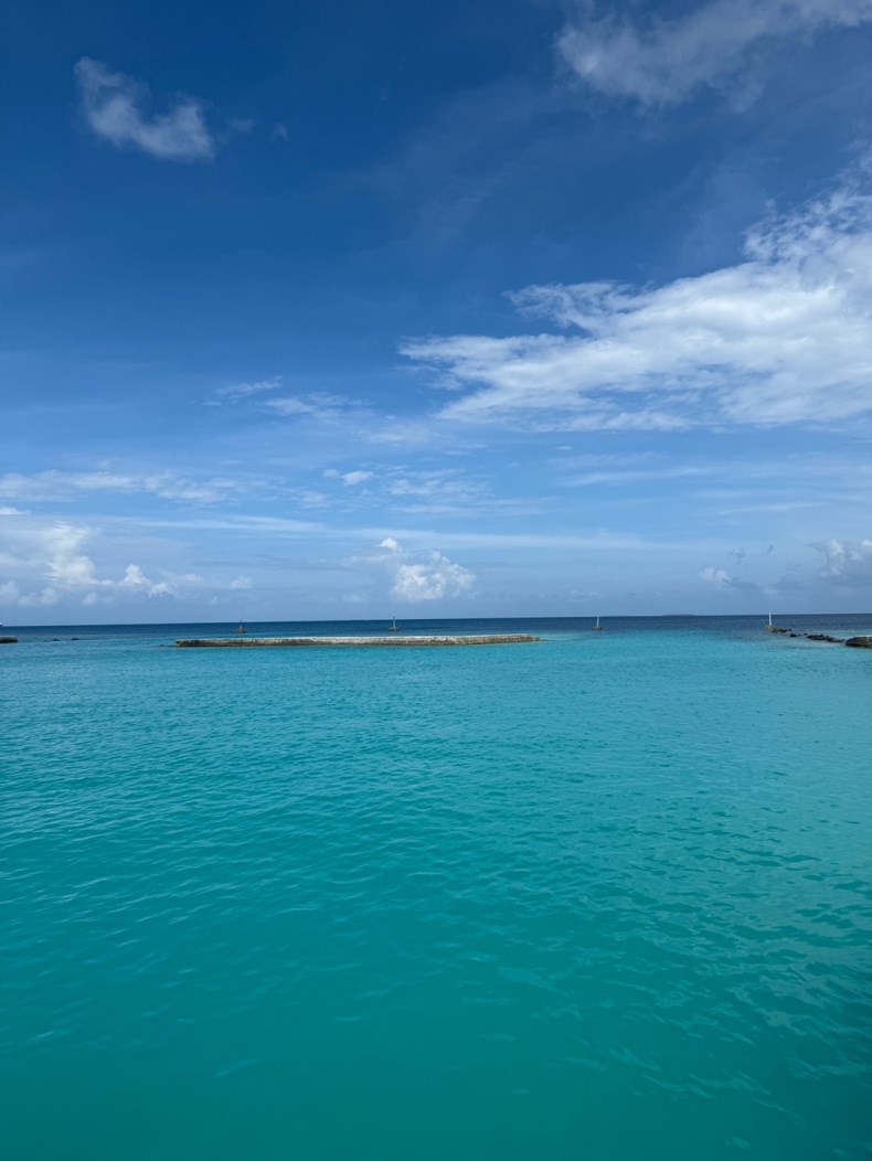 external_image
