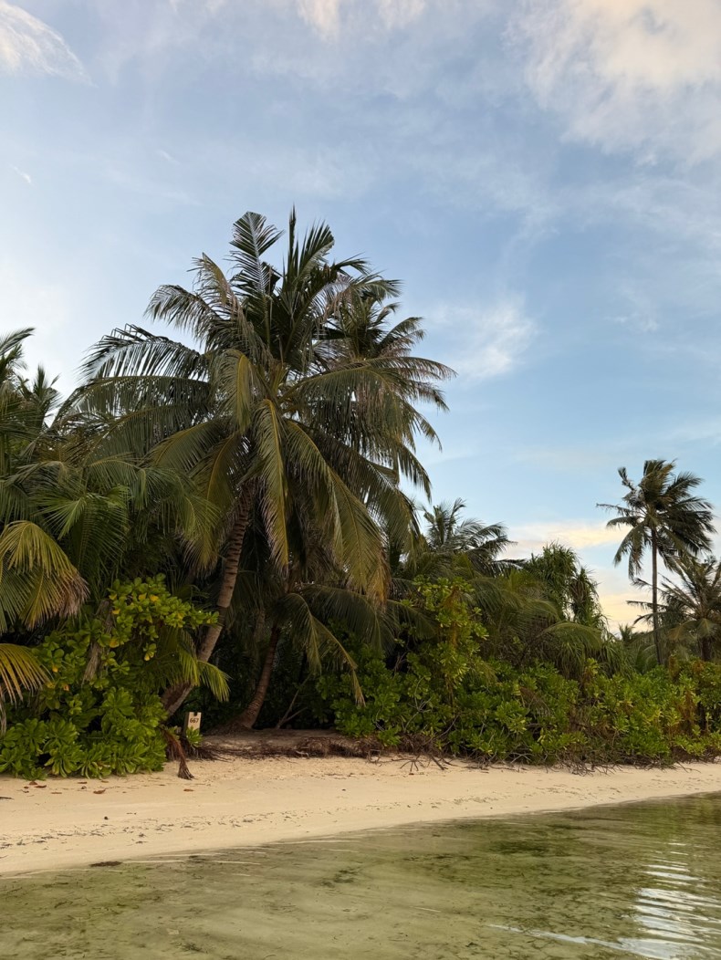 external_image