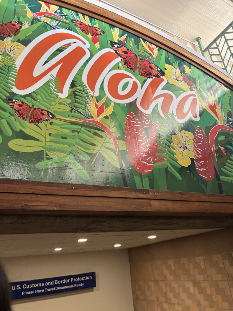 Ͽ̵ڸ ݰִ aloha~