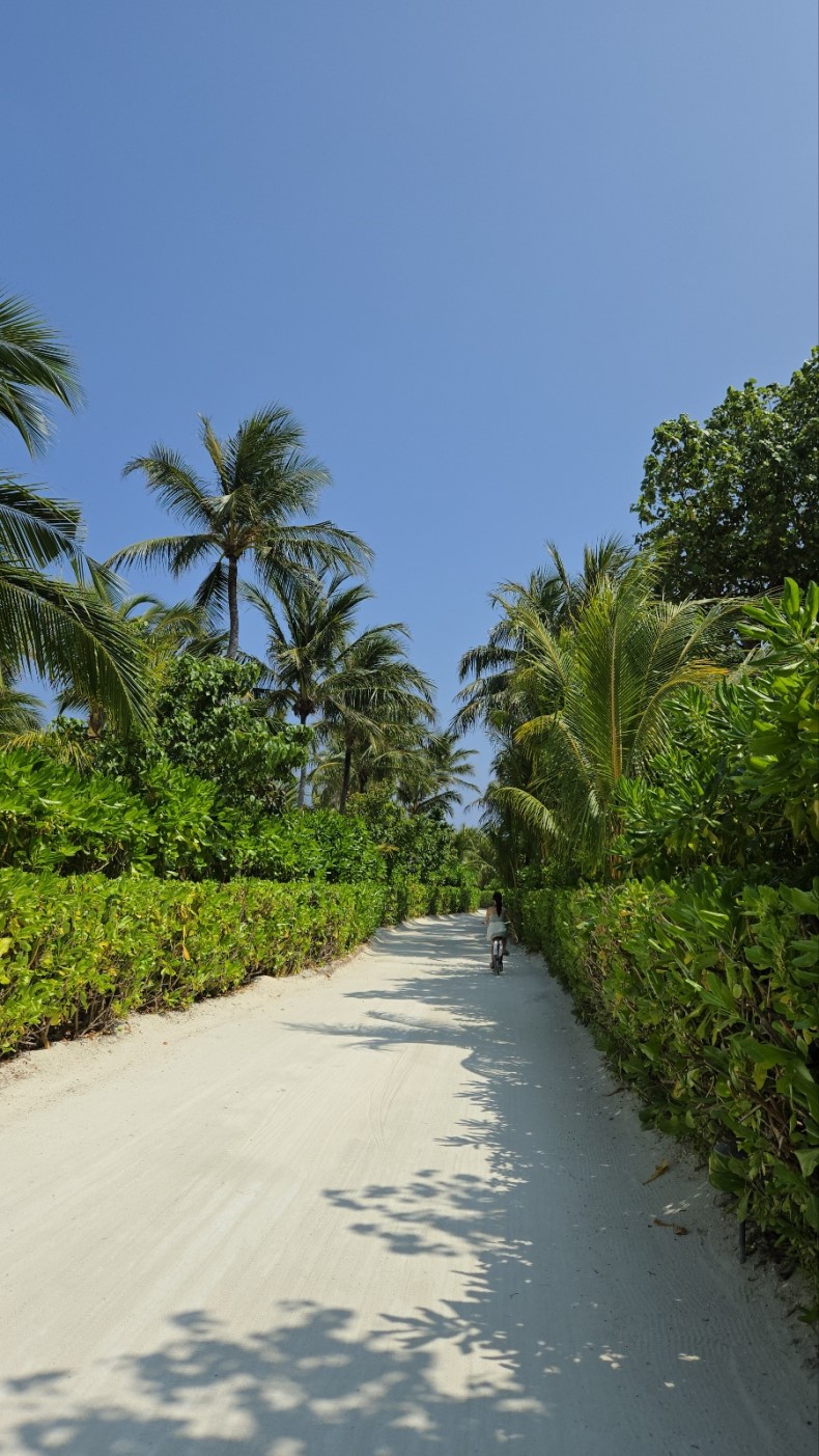 external_image