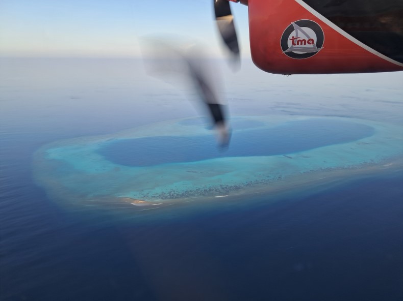 external_image