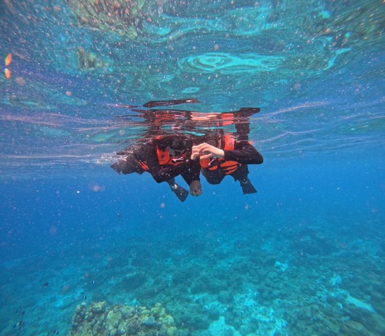 external_image