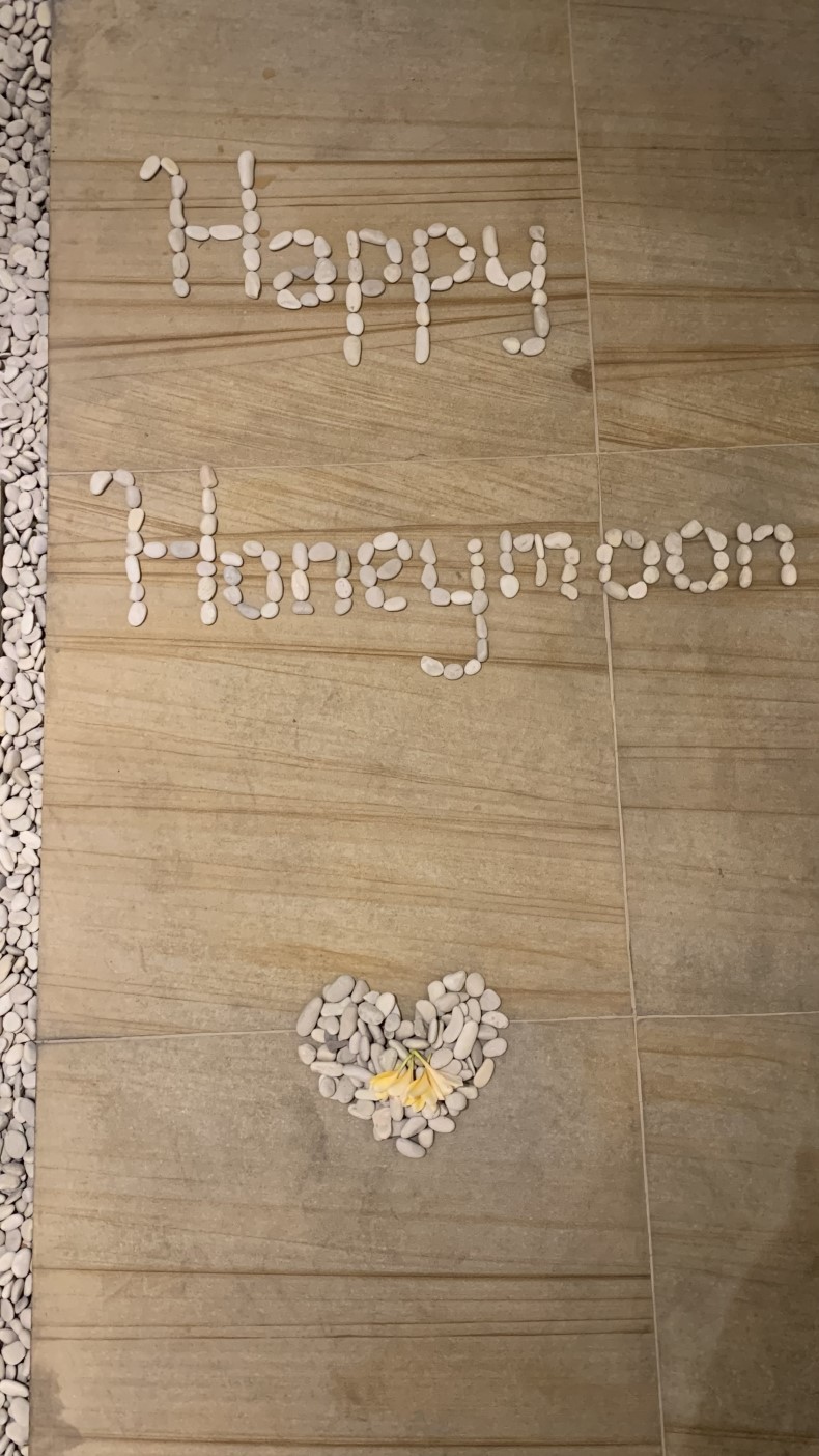 ¹°¸®¾ÆµµÂøÇÏ°í ¹èÁ¤¹ÞÀº ¼÷¼Ò¾Õ¿¡ ÀÌ·¸°Ô ±Í¿©¿î Çã´Ï¹® ±Û¾¾°¡¤Ð¤Ð💗