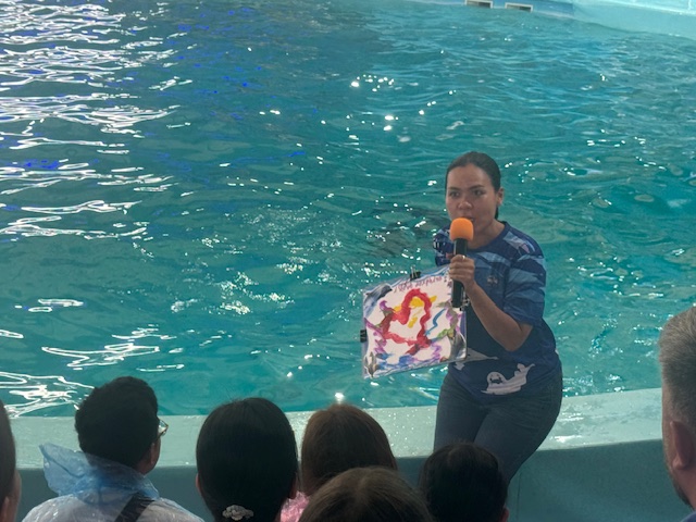 external_image external_image