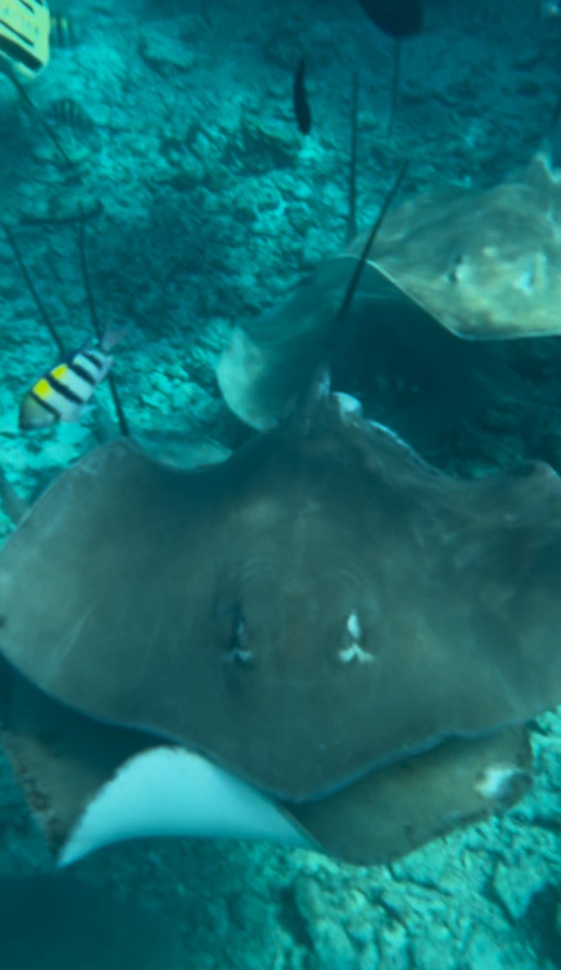 external_image external_image