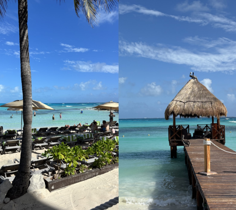 external_image external_image