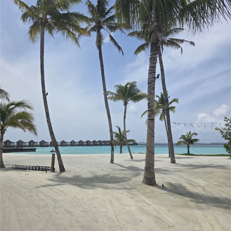 external_image