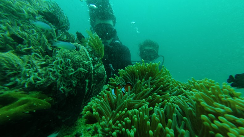 external_image