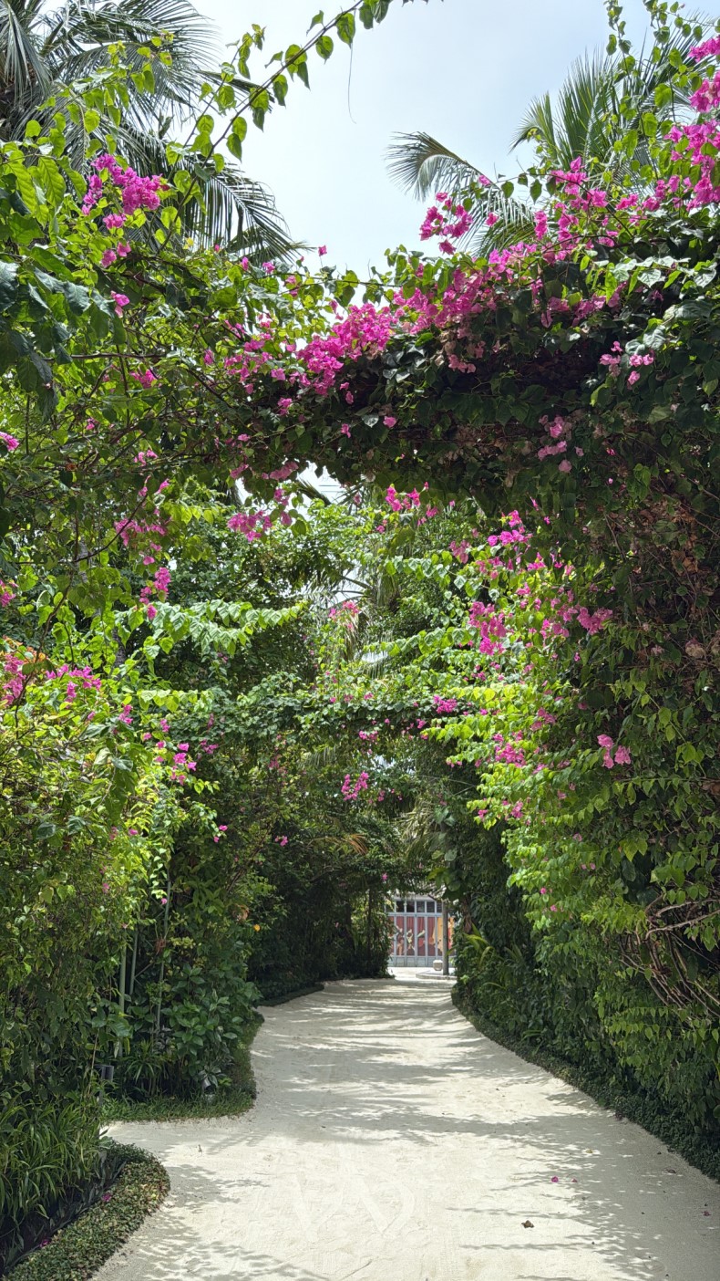 external_image