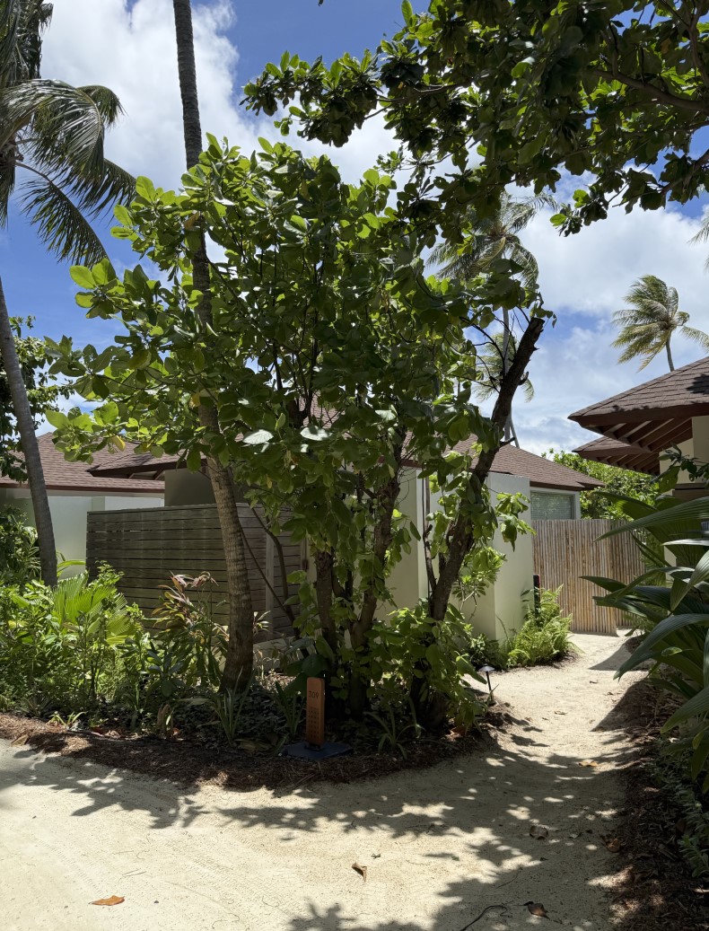 external_image