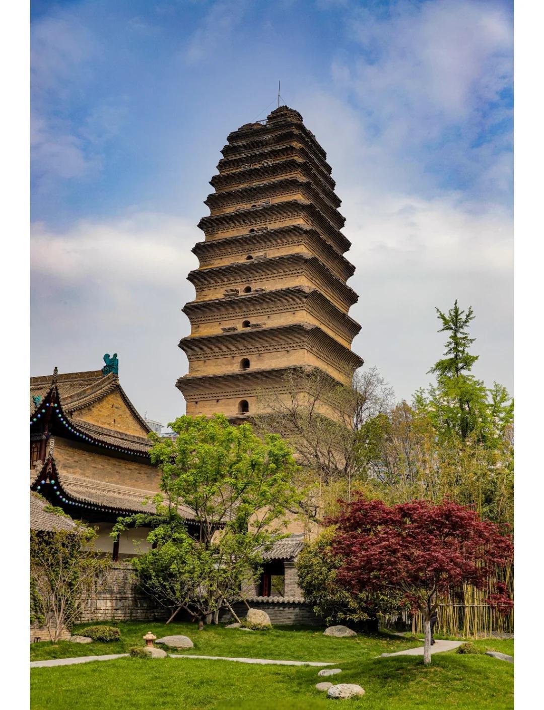 일정사진
