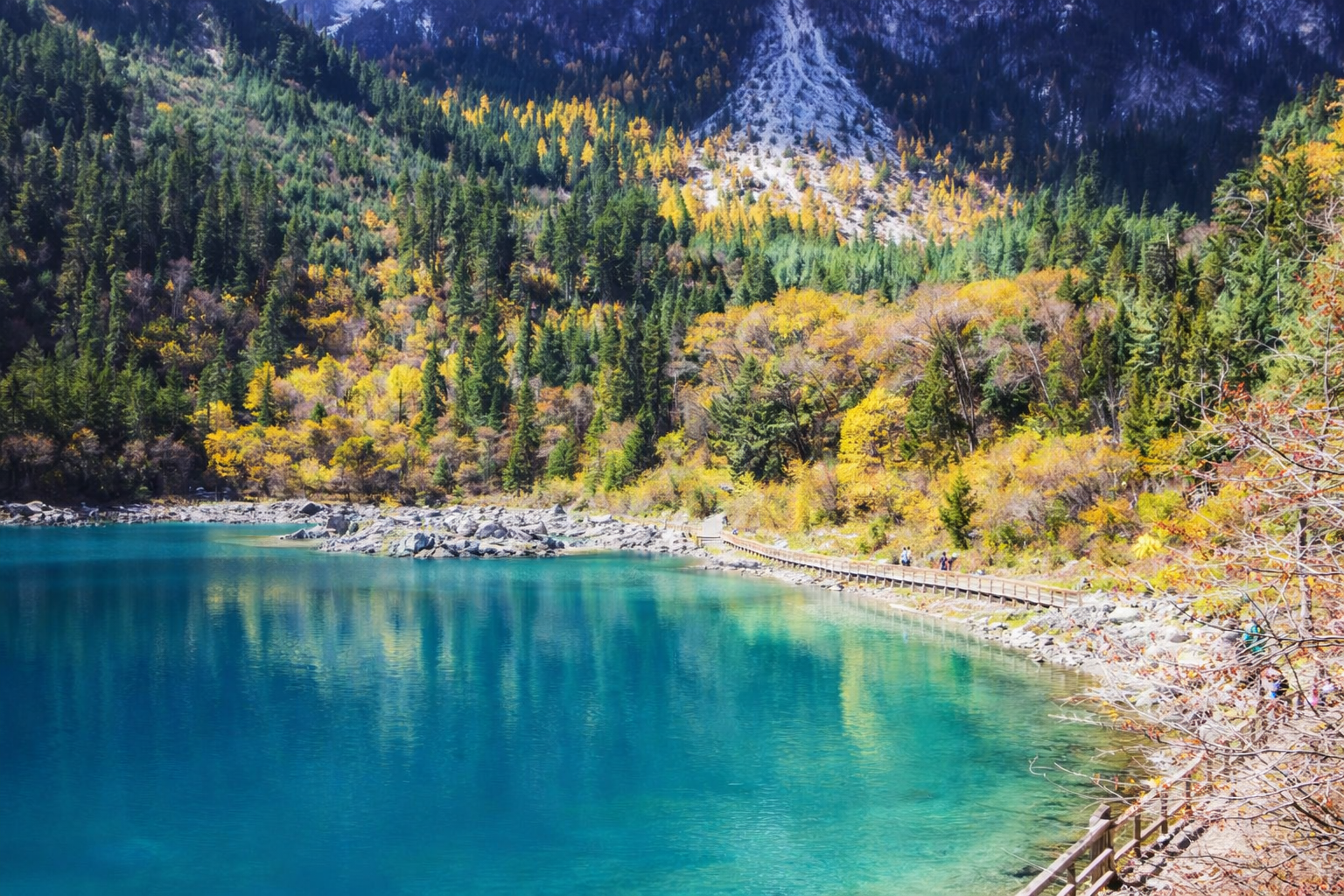 일정사진